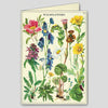 Cavallini Wildflowers Boxed Note Cards | Conscious Craft